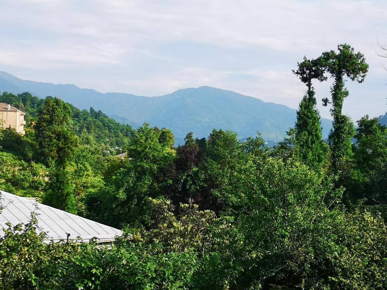 Olga'S Home Batumi Luaran gambar